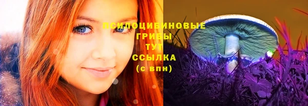 стафф Алзамай