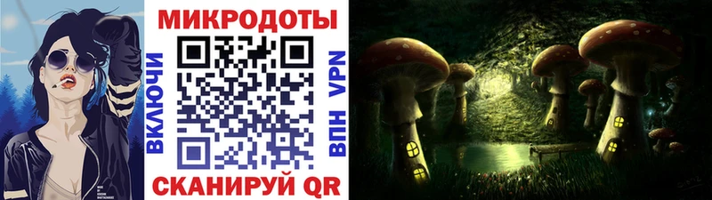 Псилоцибиновые грибы MAGIC MUSHROOMS  mega ТОР  Котельнич  где купить наркотик 