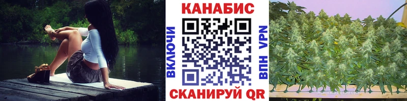 Каннабис Amnesia Котельнич